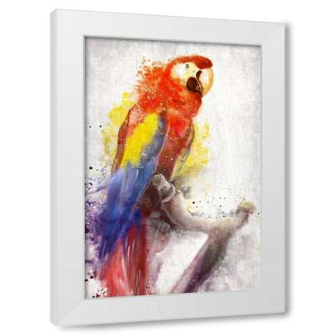 MaCaw White Modern Wood Framed Art Print by Allen, Kimberly