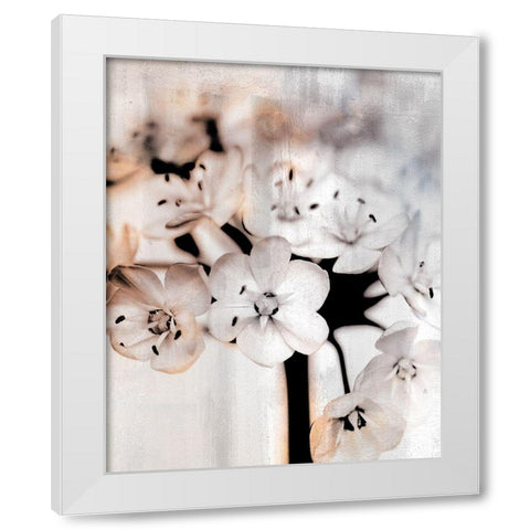 Leek Blossoms 1 White Modern Wood Framed Art Print by Allen, Kimberly