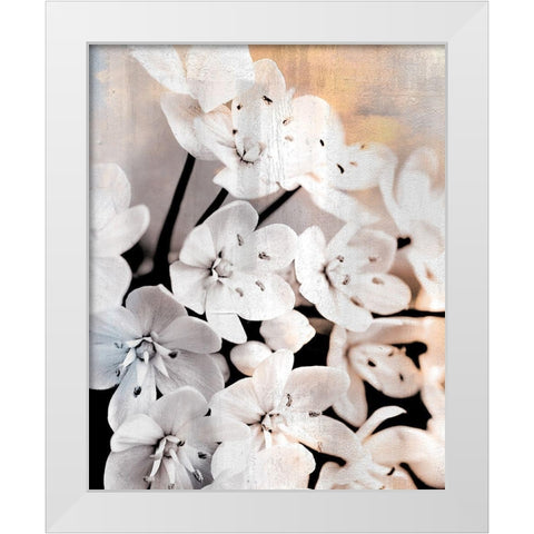 Leek Blossoms 2 White Modern Wood Framed Art Print by Allen, Kimberly