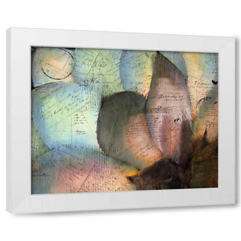 Carte Postale Succulent White Modern Wood Framed Art Print by Allen, Kimberly