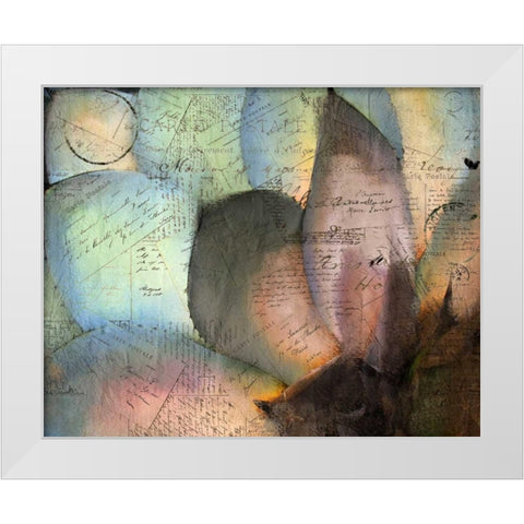 Carte Postale Succulent White Modern Wood Framed Art Print by Allen, Kimberly