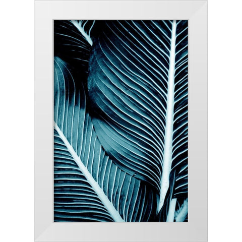 Tropical Blue 1 White Modern Wood Framed Art Print by Allen, Kimberly