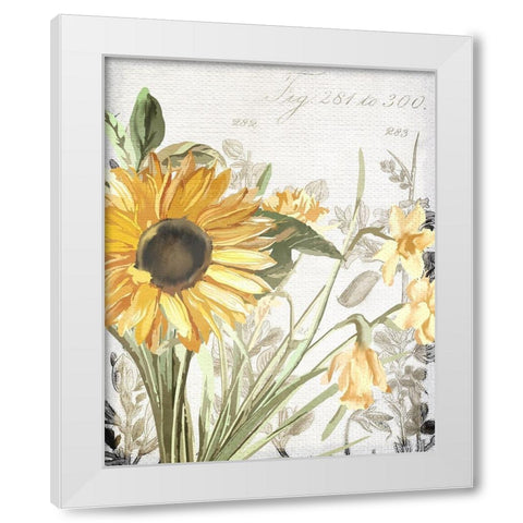 Wildflower Guide 1 White Modern Wood Framed Art Print by Allen, Kimberly