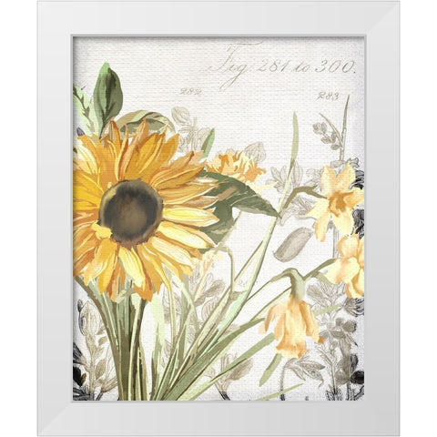 Wildflower Guide 1 White Modern Wood Framed Art Print by Allen, Kimberly