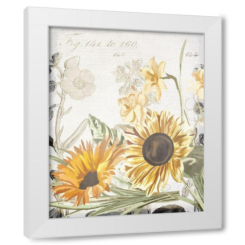Wildflower Guide 2 White Modern Wood Framed Art Print by Allen, Kimberly