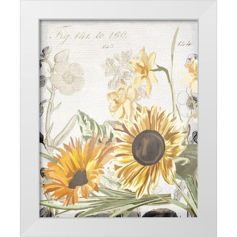 Wildflower Guide 2 White Modern Wood Framed Art Print by Allen, Kimberly