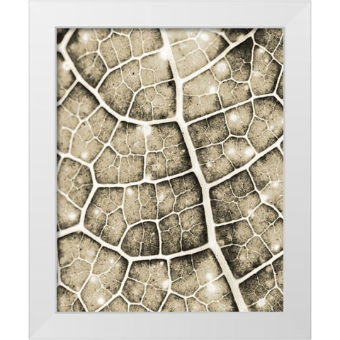 Eco Gold 1 White Modern Wood Framed Art Print by Allen, Kimberly
