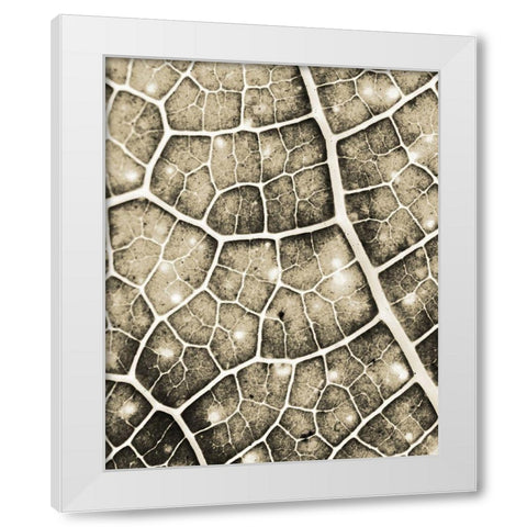 Eco Gold 2 White Modern Wood Framed Art Print by Allen, Kimberly