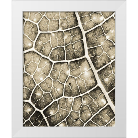 Eco Gold 2 White Modern Wood Framed Art Print by Allen, Kimberly