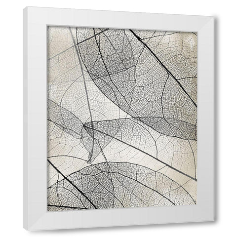 Transparent 2 White Modern Wood Framed Art Print by Allen, Kimberly