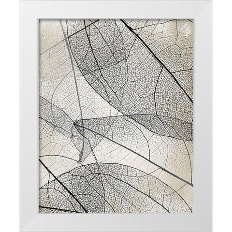Transparent 2 White Modern Wood Framed Art Print by Allen, Kimberly