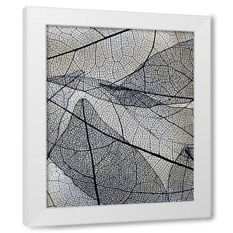 Transparent 3 v2 White Modern Wood Framed Art Print by Allen, Kimberly