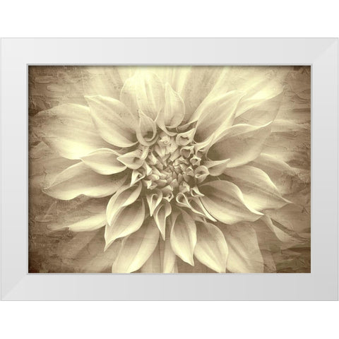 Amethyst White Modern Wood Framed Art Print by Allen, Kimberly