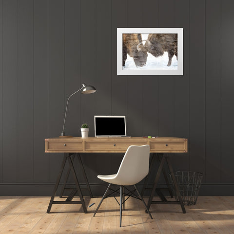 Bison Two White Modern Wood Framed Art Print by Allen, Kimberly