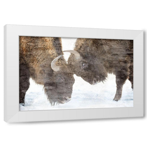 Bison Two White Modern Wood Framed Art Print by Allen, Kimberly