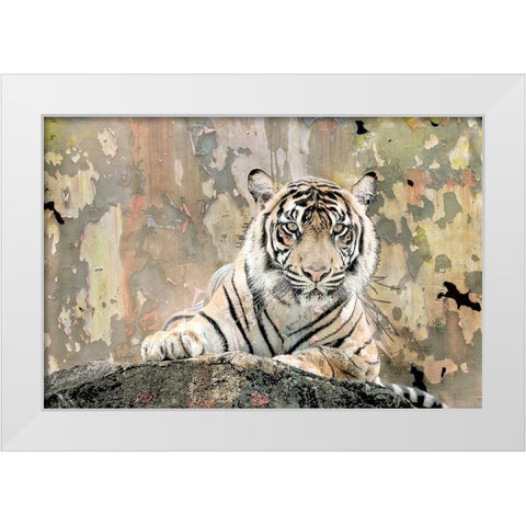 Tiger Love White Modern Wood Framed Art Print by Allen, Kimberly
