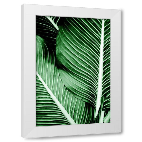 Tropical 1 White Modern Wood Framed Art Print by Allen, Kimberly