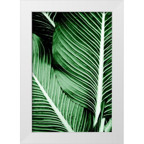 Tropical 1 White Modern Wood Framed Art Print by Allen, Kimberly