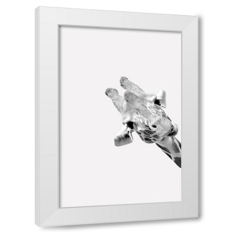 Quirky Giraffes 3 White Modern Wood Framed Art Print by Allen, Kimberly