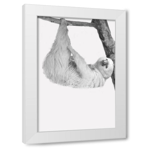 Quirky Sloths 1 White Modern Wood Framed Art Print by Allen, Kimberly