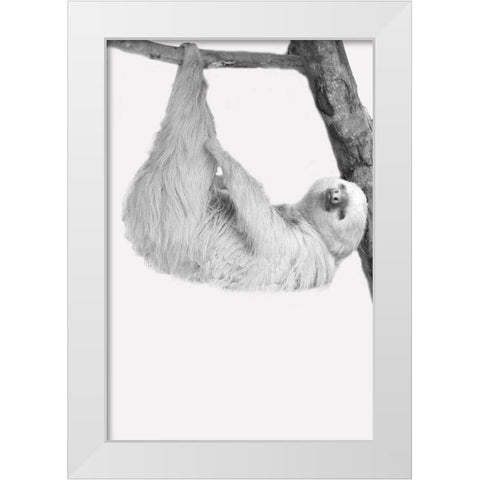 Quirky Sloths 1 White Modern Wood Framed Art Print by Allen, Kimberly