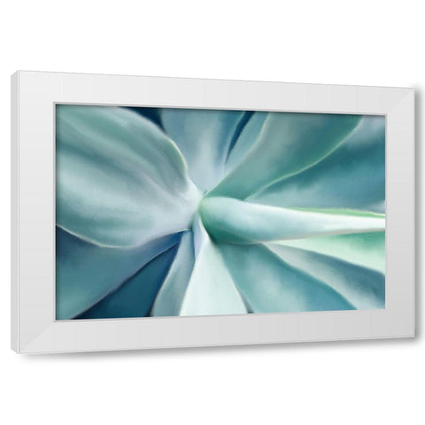 Agave White Modern Wood Framed Art Print by Allen, Kimberly