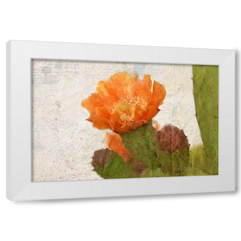 Cacti Flower White Modern Wood Framed Art Print by Allen, Kimberly