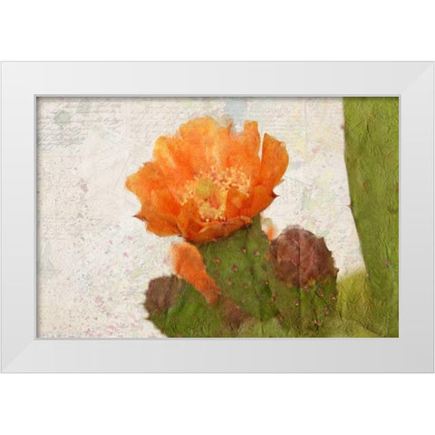Cacti Flower White Modern Wood Framed Art Print by Allen, Kimberly