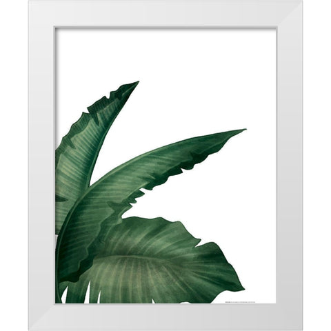 Palms 1 White Modern Wood Framed Art Print by Allen, Kimberly