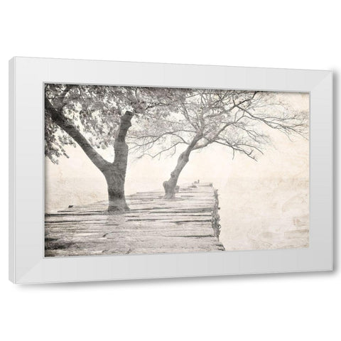 Tree Pier White Modern Wood Framed Art Print by Allen, Kimberly