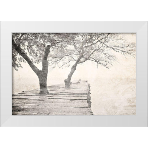 Tree Pier White Modern Wood Framed Art Print by Allen, Kimberly
