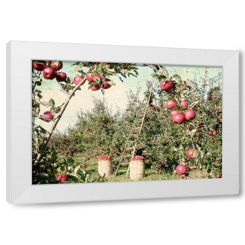 Apple Orchard White Modern Wood Framed Art Print by Allen, Kimberly