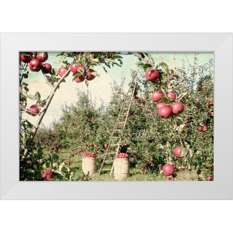 Apple Orchard White Modern Wood Framed Art Print by Allen, Kimberly
