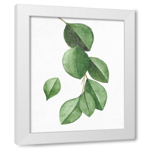 Greens 3 White Modern Wood Framed Art Print by Allen, Kimberly