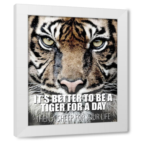 A Tiger for a Day White Modern Wood Framed Art Print by Allen, Kimberly