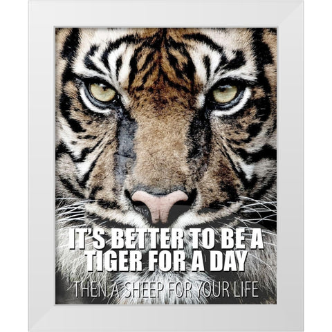 A Tiger for a Day White Modern Wood Framed Art Print by Allen, Kimberly