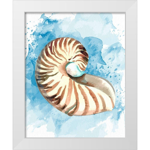 Coast Shell 1 White Modern Wood Framed Art Print by Allen, Kimberly