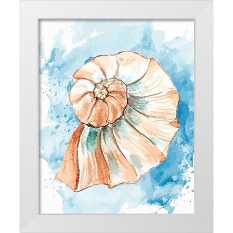 Coast Shell 2 White Modern Wood Framed Art Print by Allen, Kimberly