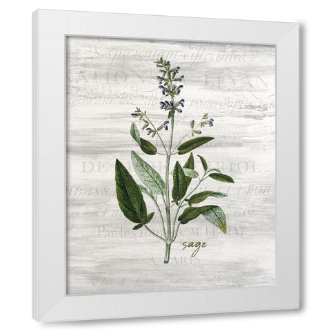 Fresh Cut Herbs 2 White Modern Wood Framed Art Print by Allen, Kimberly