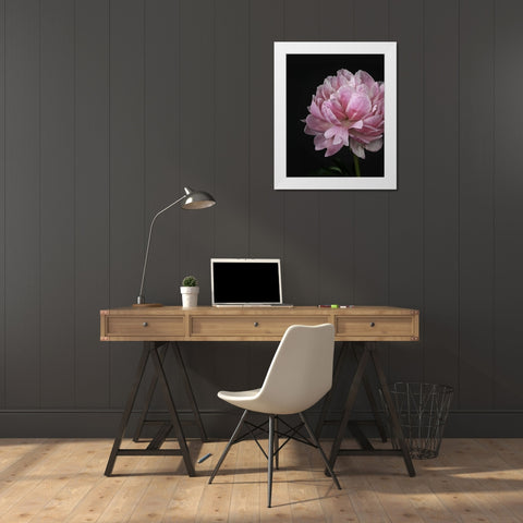 Floral Closeup 4 White Modern Wood Framed Art Print by Allen, Kimberly