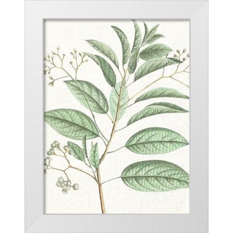 Branch 1 White Modern Wood Framed Art Print by Allen, Kimberly