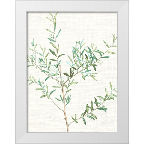 Branch 2 White Modern Wood Framed Art Print by Allen, Kimberly