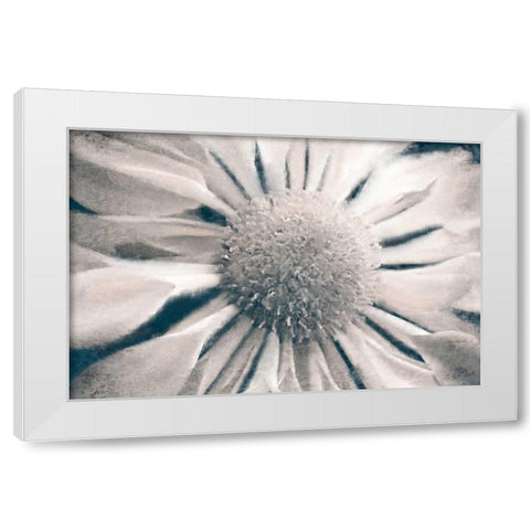 Marguerite White Modern Wood Framed Art Print by Allen, Kimberly