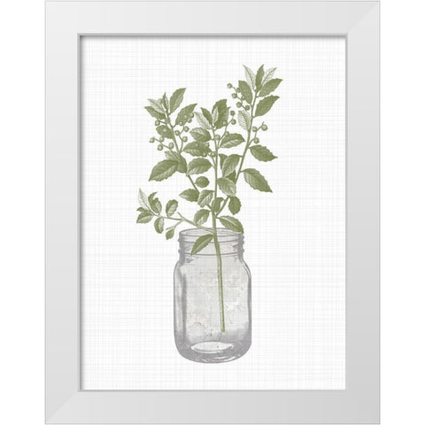 Jar Herbs 2 White Modern Wood Framed Art Print by Allen, Kimberly