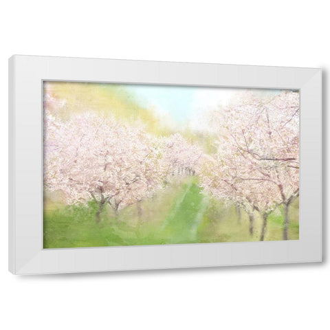 Springtime Farm White Modern Wood Framed Art Print by Allen, Kimberly