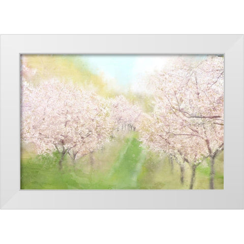 Springtime Farm White Modern Wood Framed Art Print by Allen, Kimberly
