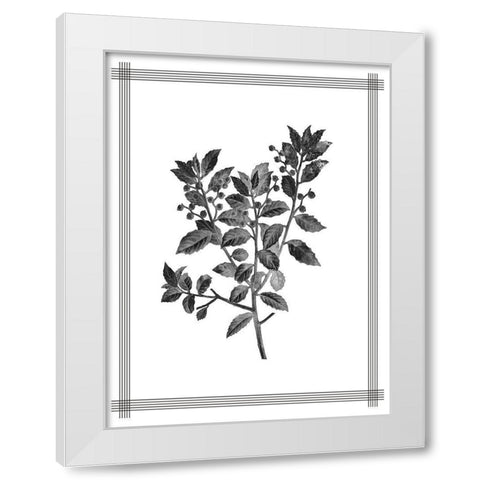 Pressed 2 White Modern Wood Framed Art Print by Allen, Kimberly