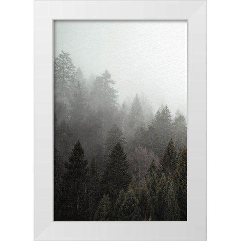Mist 1 White Modern Wood Framed Art Print by Allen, Kimberly