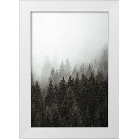 Mist 2 White Modern Wood Framed Art Print by Allen, Kimberly