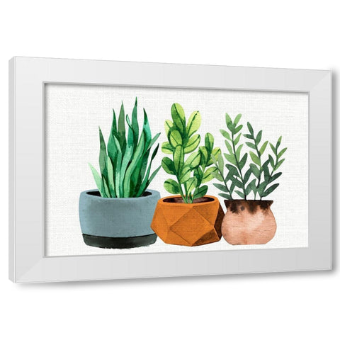 Potted Plants White Modern Wood Framed Art Print by Allen, Kimberly